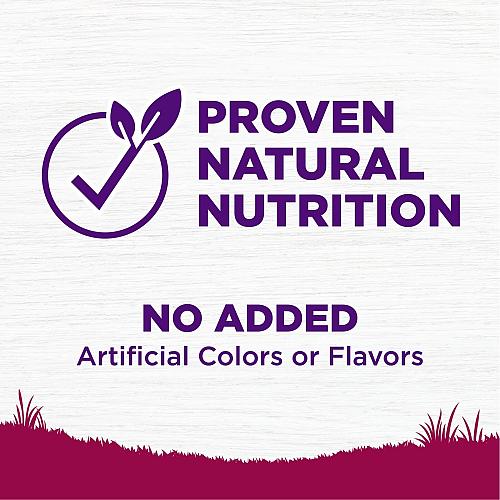 Wellness Complete Health Small Breed Dry Dog Food with Grains Natural Ingredi...