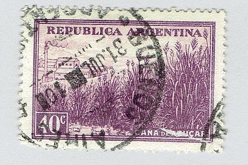 Argentina 443 Corn FieldUsed (BP92414)