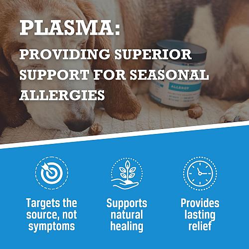 WINPRO Dog Allergy Relief Chews – Plasma-Powered Soft Chews for Dogs – Grain-...