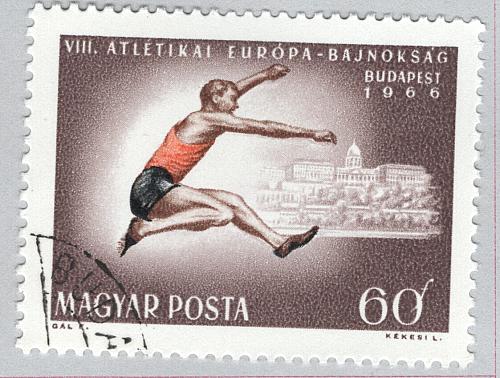 Hungary Used Sports high jumper brown 60 (BP85408)