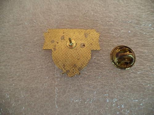 NASCAR FANS 50th Anniversary. Lapel Pin Badge