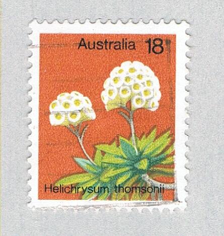 Australia Flower 18 1 (AP132811)