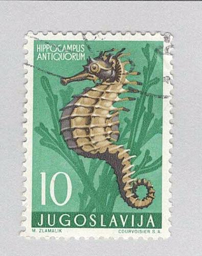 Yugoslavia 452 Sea Horse Used 1 (BP94907)