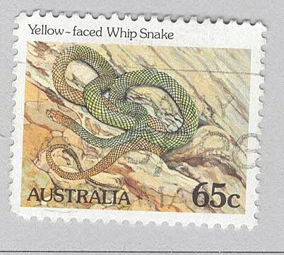Australia Reptile snake yellow faced whip snake Used (BP90331)