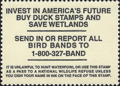 US Scott #RW66 MNH OG XF 15.00 1999 US Federal Duck Stamp CV 40.00