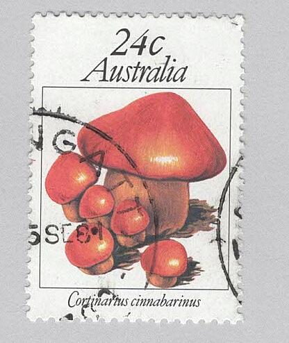Australia Used Mushrooms toadstools brown 24 (BP88907)