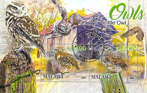 Malawi 2022 Sheet Little Owl wildlife bird 2 values (TS0174)