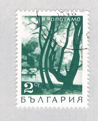 Bulgaria Trees green 2c (AP134004)