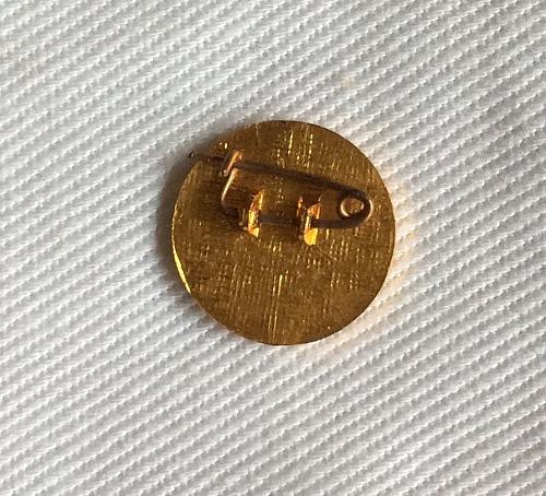 Soccer-National Teams Dinamo, Tirane, Albania. Vintage Football Pin, badge