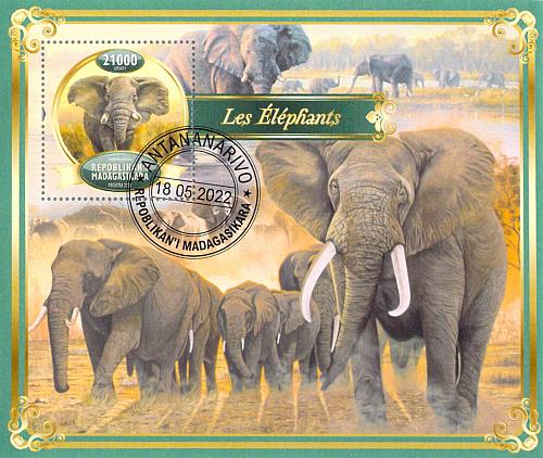 Madagascar 2022 CTO Sheet Elephants animals 1 value (TS0041)