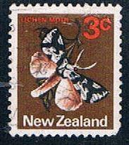 New Zealand Flowers (NP29R703)
