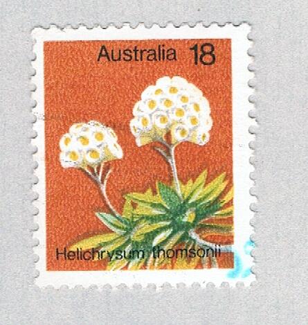 Australia Flower 18 2 (AP132812)
