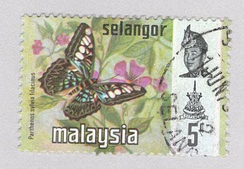Malaysia Selangor 130 Butterflies Used 3 (BP98320)