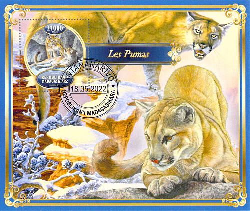 Madagascar 2022 Sheet Mountain Lion Puma 1 value (TS0102)