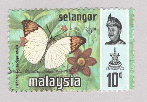 Malaysia Selangor 132 Butterflies Used 1 (BP98324)