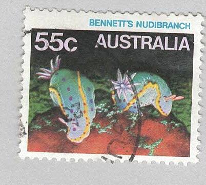 Australia Sea life Bennett's nudibranch multi colored 55 Used (BP90323)