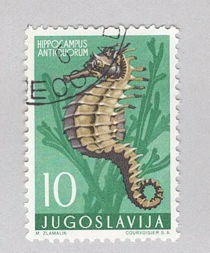 Yugoslavia 452 Sea Horse Used 2 (BP94908)
