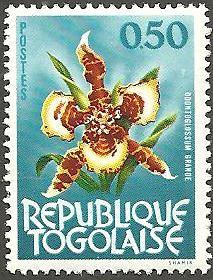Togo 461 MLH Orchid CV 1.25 (GI0131)