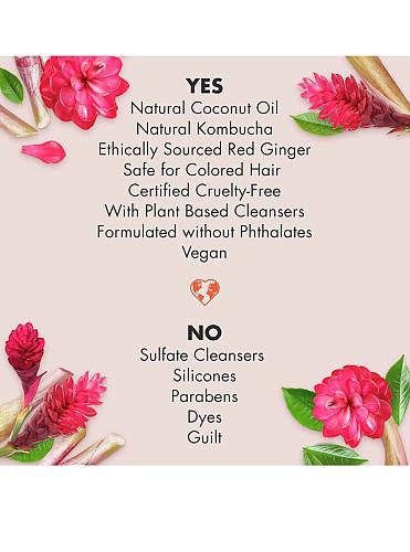 Love Beauty And Planet Conditioner Detox & Nourish, Black Tea & Ginger. 32 fl oz