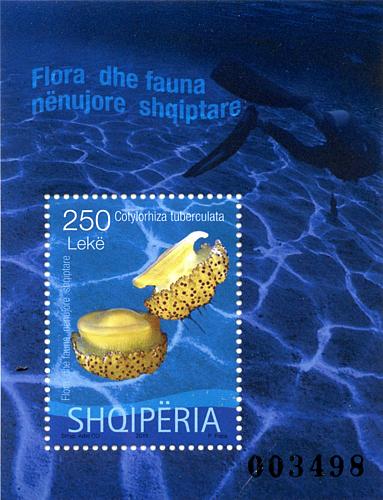 Albania 2015. Underwater flora and fauna. Cotylorhiza tuberculata. Block MNH