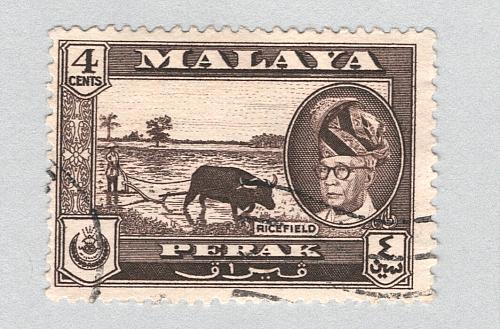 Mayala Perak 129 1957 Sultan Tzuddin Used (BP89410)