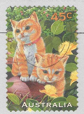 Australia 1562 Kittens Used (BP96201)