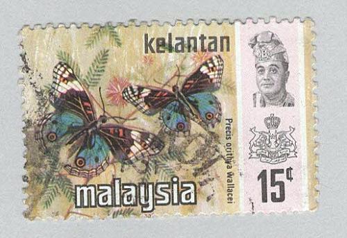 Malaysia Kelantan 103 Butterfly Used 1 (BP96520)
