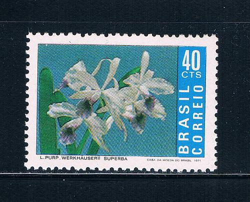 Brazil 1023 Unused Flowers CV 3.25 (B0387)