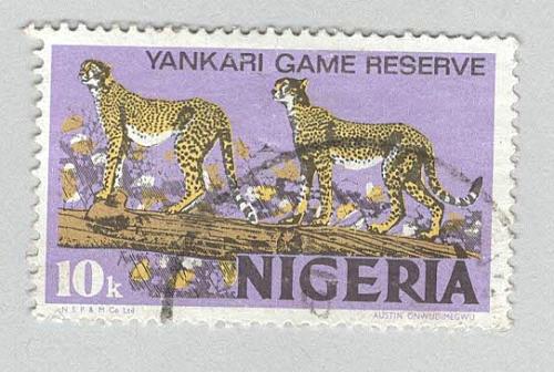 Nigeria Cheetah Used (BP93207)
