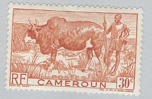 Cameroun 305 Zebu and Herder MLH (BP94111)