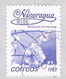 Nicaragua Flower purple 100 (AP117017)