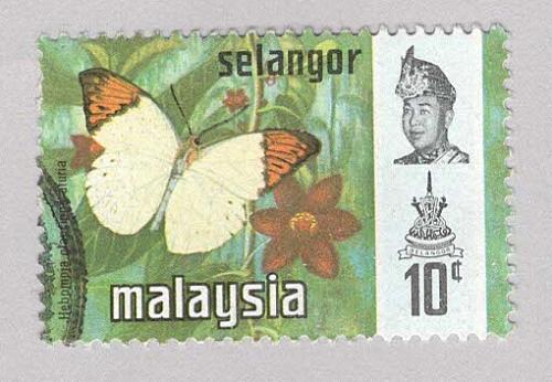 Malaysia Selangor 132 Butterflies Used 1 (BP98327)
