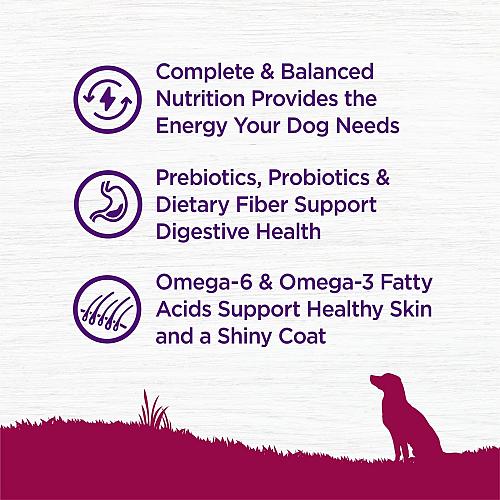 Wellness Complete Health Small Breed Dry Dog Food with Grains Natural Ingredi...