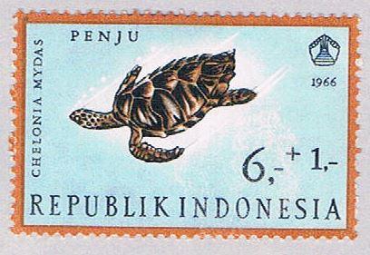 Indonesia 3206 MLH Turtle 1966 (BP50017)