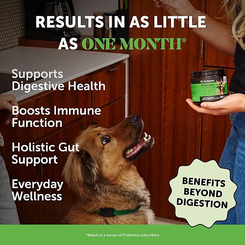 Pet Honesty Probiotics for Dogs Dog Probiotics for Digestion Support Digestiv...