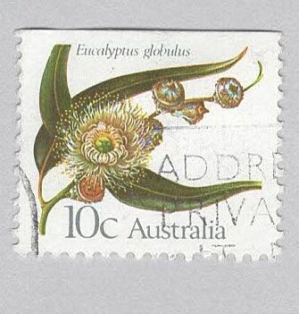 Australia Flower globulus 10 Used (BP90018)