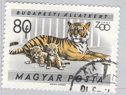 Hungary Used Tiger and Cubs Gray 80 (BP85410)
