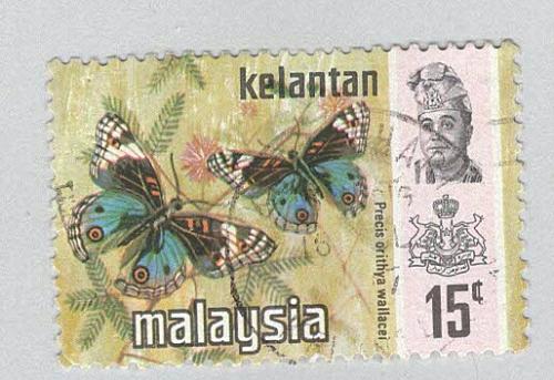 Malaysia Kelantan 103 Butterfly Used 1 (BP96523)