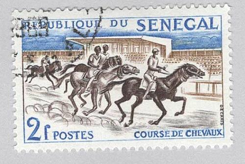 Senegal 204 Horse Racing Used 1 (BP95315)