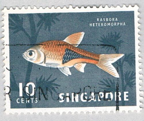 Singapore Fish grey 10c 1 (AP126313)