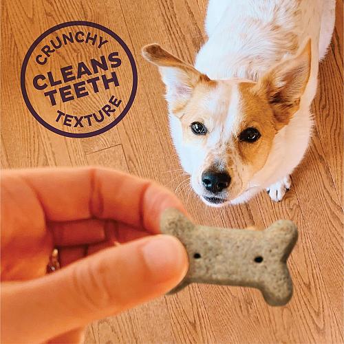 Wellness Old Mother Hubbard Original Mix Dog Biscuits Natural Training Treats...