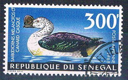 Senegal C56 Used Knob Gilled Goose lr 1969 CV 3.00 (S0826)+
