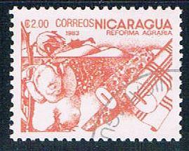 Nicaragua Cotton 2 (NP7R504)