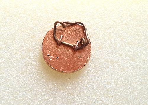 Mik i vogel i Librit. Friend of the Book. Badge medal from Communism of Albania