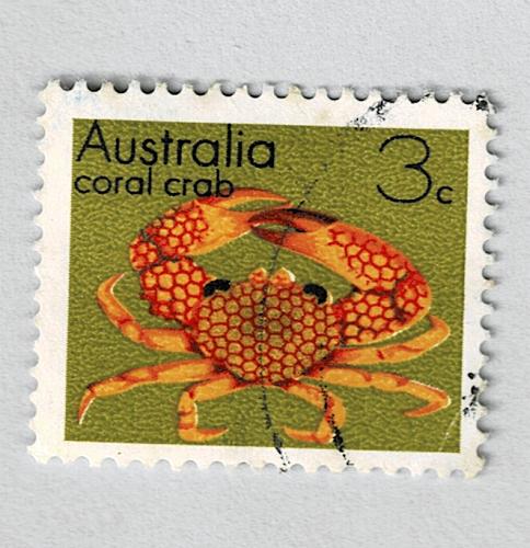 Australia Coral crab green 3 Used (BP90923)