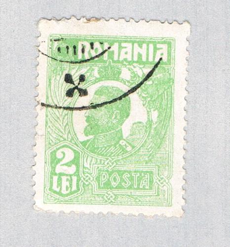 Romania King green 2l (AP134622)