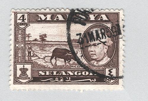Mayala Selangor 104 1957 Sultan Alam Used (BP89506)