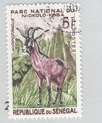 Senegal 195 Roan Antelope Used 1 (BP95425)