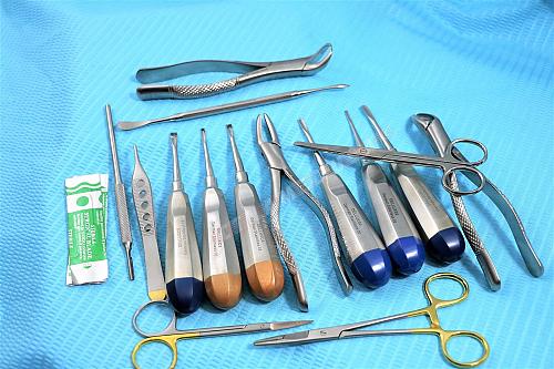 Premium German Set of 25 Veterinary Dental Extraction Instruments Kit Forceps