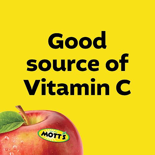 Mott's Cinnamon Applesauce 4 Ounce Cup 6 Count